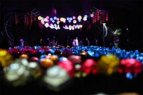 2020宁波植物园灯光秀游玩指南
