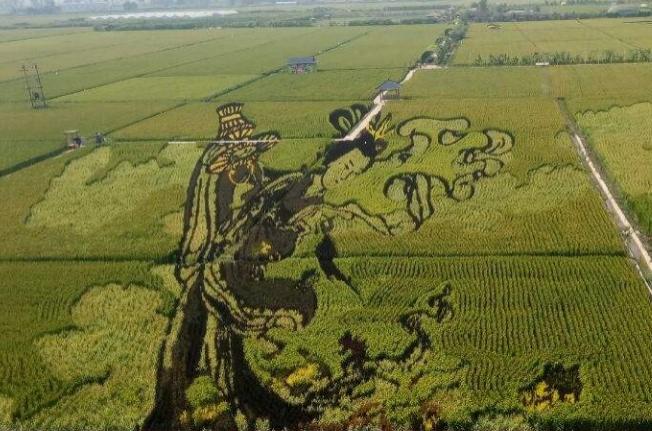 沈阳稻梦空间怎么样 及我和我的家乡拍摄地打卡景点