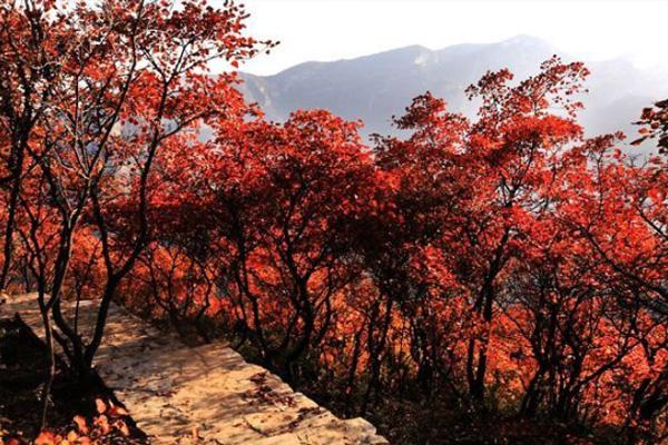 北京红叶最佳观赏地方 有哪些