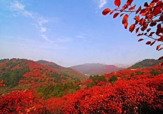 北京八達嶺森林公園好玩嗎  紅葉節時間 