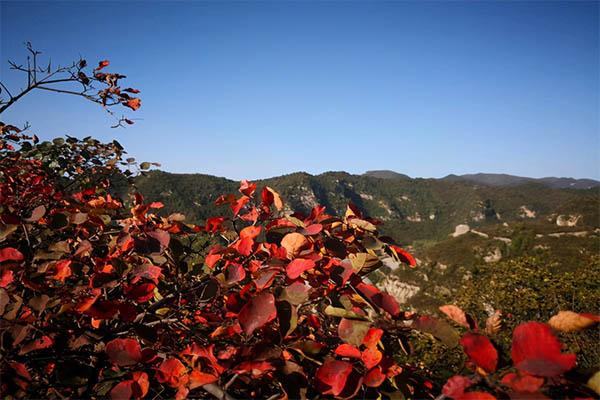 平顶爻村几月份去最好 平顶爻村简介