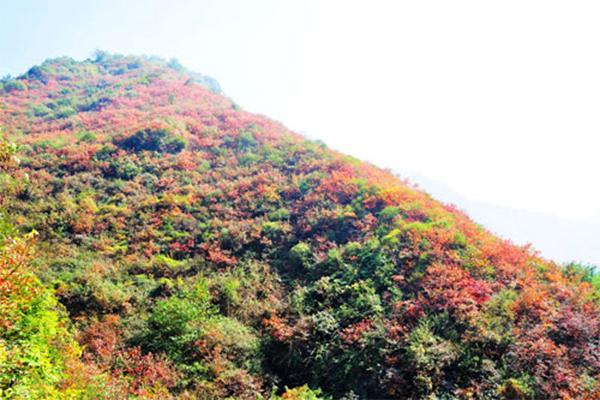 少华山白叶最好没有雅赏时候 交通线路指北