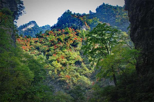 陕西金丝峡国家森林公园赏红叶攻略