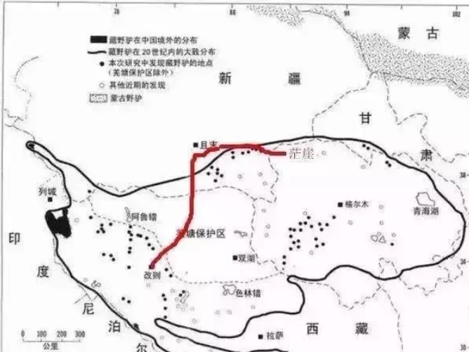 進藏路線有幾條路線-路線圖