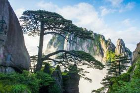 黄山旅游景点有哪些景点
