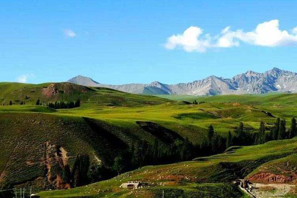 2024新疆巩乃斯国家森林公园旅游攻略 - 门票价格 - 优惠政策 - 开放时间 - 交通 - 地址 - 电话 - 天气