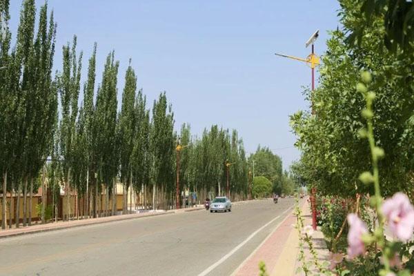 2022新疆达西村游玩攻略 - 门票 - 交通 - 天气