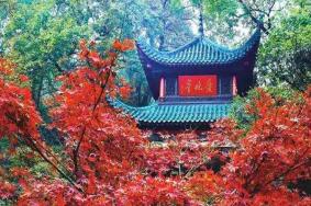 2020岳麓山赏枫叶路线 最佳观赏景点推荐