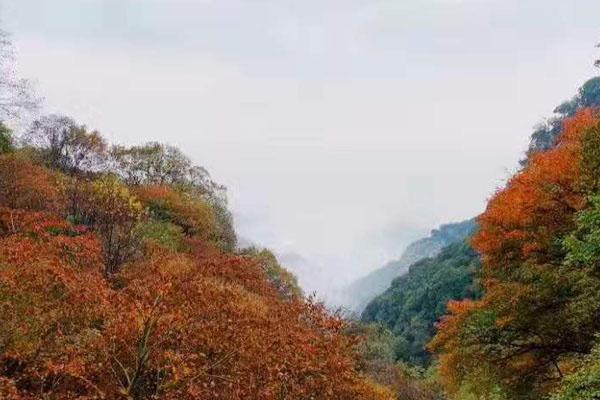 少華山國家森林公園門票 景點介紹