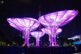 2020年第十届广州国际灯光节什么时候举办