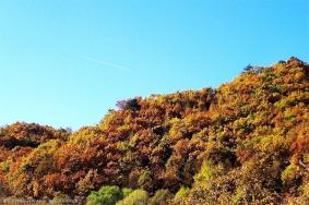 北京云蒙山红叶最佳观赏时间及门票