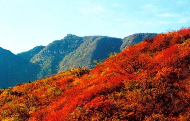 四川米亚罗红叶风景区最佳游时间