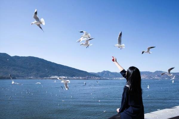 云南三日游 - 重庆自驾游去云南旅游最佳路线