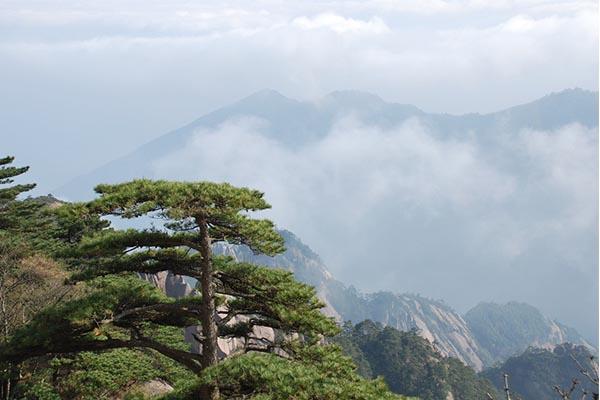 黄山最佳观看日出和日落的地方在哪