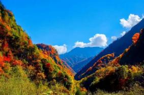 广元秋天有哪些地方好玩