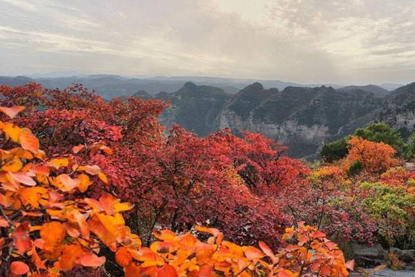 太行山紅葉最佳觀賞時間2020 哪里看最好