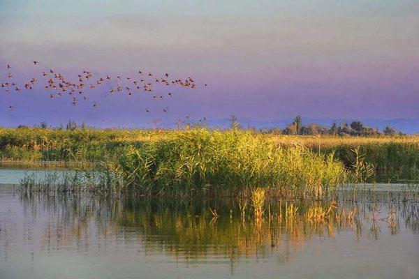 2024新疆玛纳斯国家湿地公园游玩攻略 - 门票 - 交通 - 天气