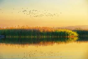 2024新疆玛纳斯国家湿地公园游玩攻略-门票价格-景点信息
