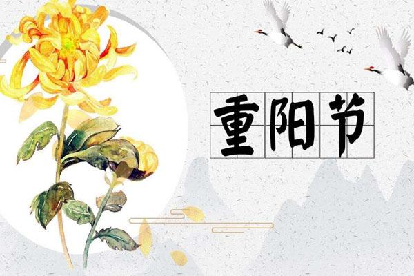 2020年广州重阳节活动汇总一览