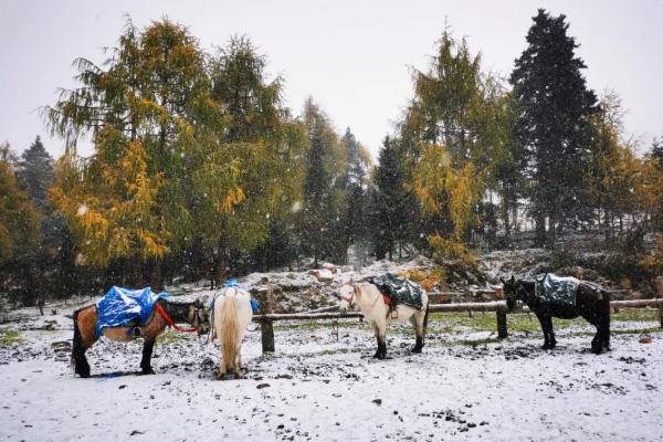 2020年秋冬四川哪些景面下雪了