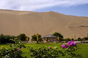 2024新疆大漠绿洲生态园游玩攻略-门票价格-景点信息