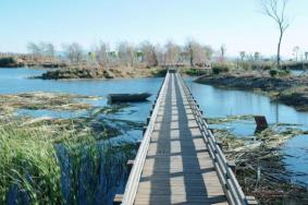 2024王官湿地公园旅游攻略-门票价格-景点信息