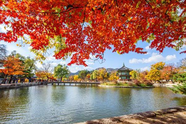 2020杭州有哪些小众的赏秋地