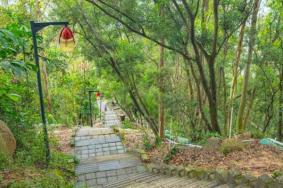 深圳重阳节去哪里爬山 景点推荐