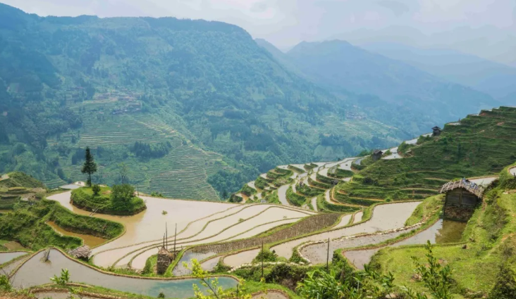 贵州秋天秋景旅游最佳时间地点