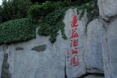 2024昆明莲花池公园旅游攻略 - 门票价格 - 优惠政策 - 开放时间 - 交通 - 地址 - 电话 - 天气
