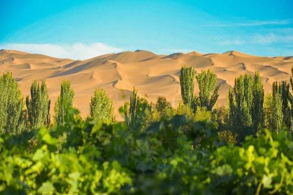 2022新疆荒漠绿洲生态园游玩攻略 - 门票 - 交通 - 天气