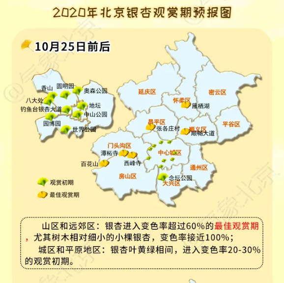 2020北京银杏叶观赏时间及地点推荐