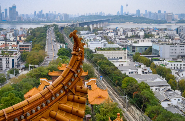 11月去哪里看银杏 国内秋景推荐