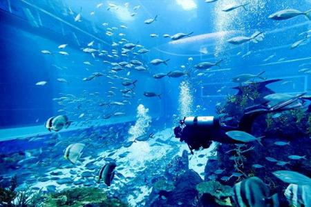 2024乌鲁木齐新疆盛贝特海洋馆旅游攻略 - 门票价格 - 优惠政策 - 开放时间 - 交通 - 地址 - 电话 - 天气