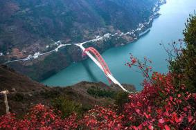 2020巫山红叶节观赏路线推荐 最佳红叶景点-交通-路线