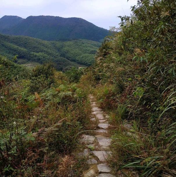 仙縉古道徒步攻略 仙縉古道難度大嗎