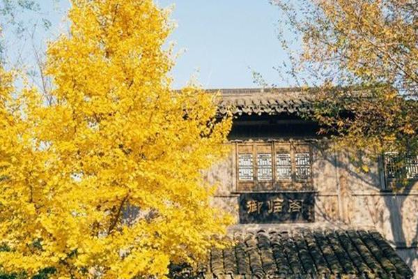 杭州免费赏秋景的地方有哪些