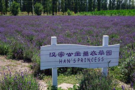 2022新疆汉家公主薰衣草园游玩攻略 - 门票 - 交通 - 天气
