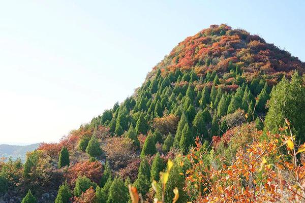 舞彩淺山濱水國家登山步道 賞紅葉攻略