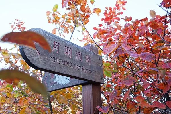 舞彩淺山濱水國家登山步道 賞紅葉攻略