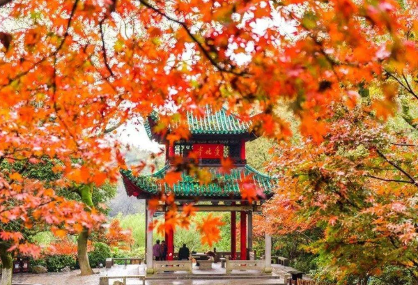 中國十大紅葉風景區 中國紅葉觀賞地排名 中國十大紅葉風景區 中國紅葉觀賞地排名