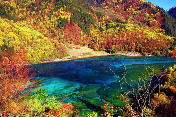 中国十大红叶风景区中国红叶观赏地排名