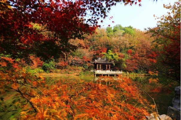 中国十大红叶风景区 中国红叶观赏地排名