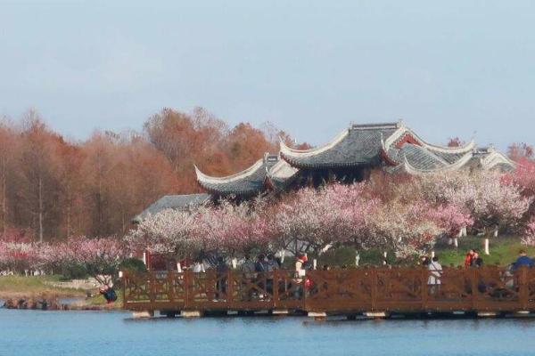 上海冬天哪里好玩 這些地方都值得去