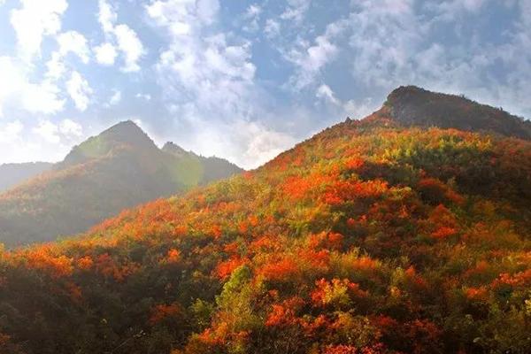 湖北赏红叶的好去处 最佳赏红叶景点推荐