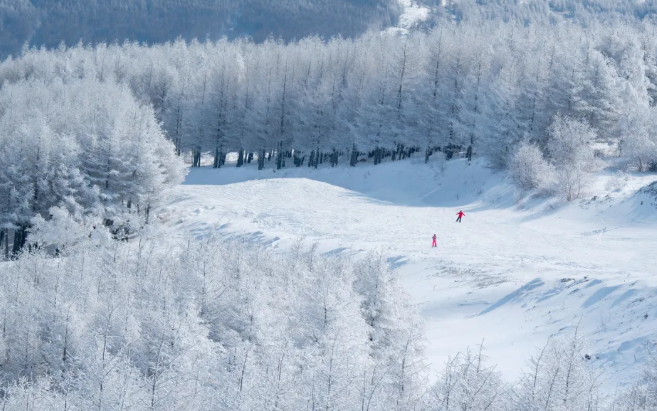 國內(nèi)滑雪去哪里最好