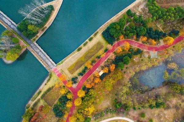 2022安徽合肥滨湖国家森林公园旅游攻略 - 景点介绍 - 开放时间