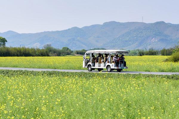 2020杭州良渚古城遺址公園賞秋攻略