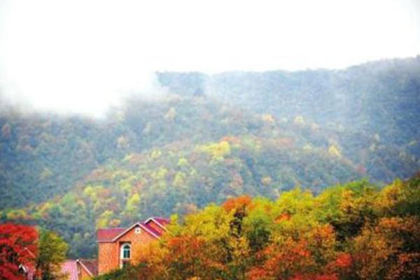 2020西嶺雪山紅葉什么時候紅 西嶺雪山紅葉攻略