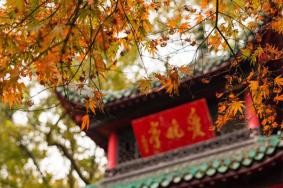 长沙赏枫叶最佳地点 长沙赏枫叶最好的地方